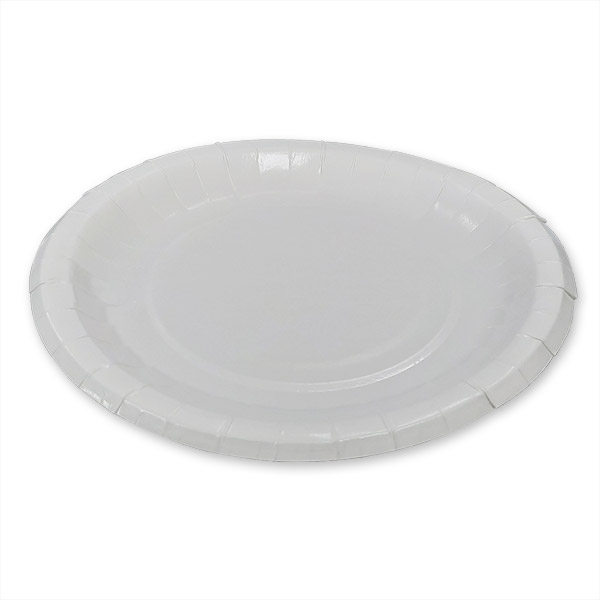 10 Inch Paper Round Plate