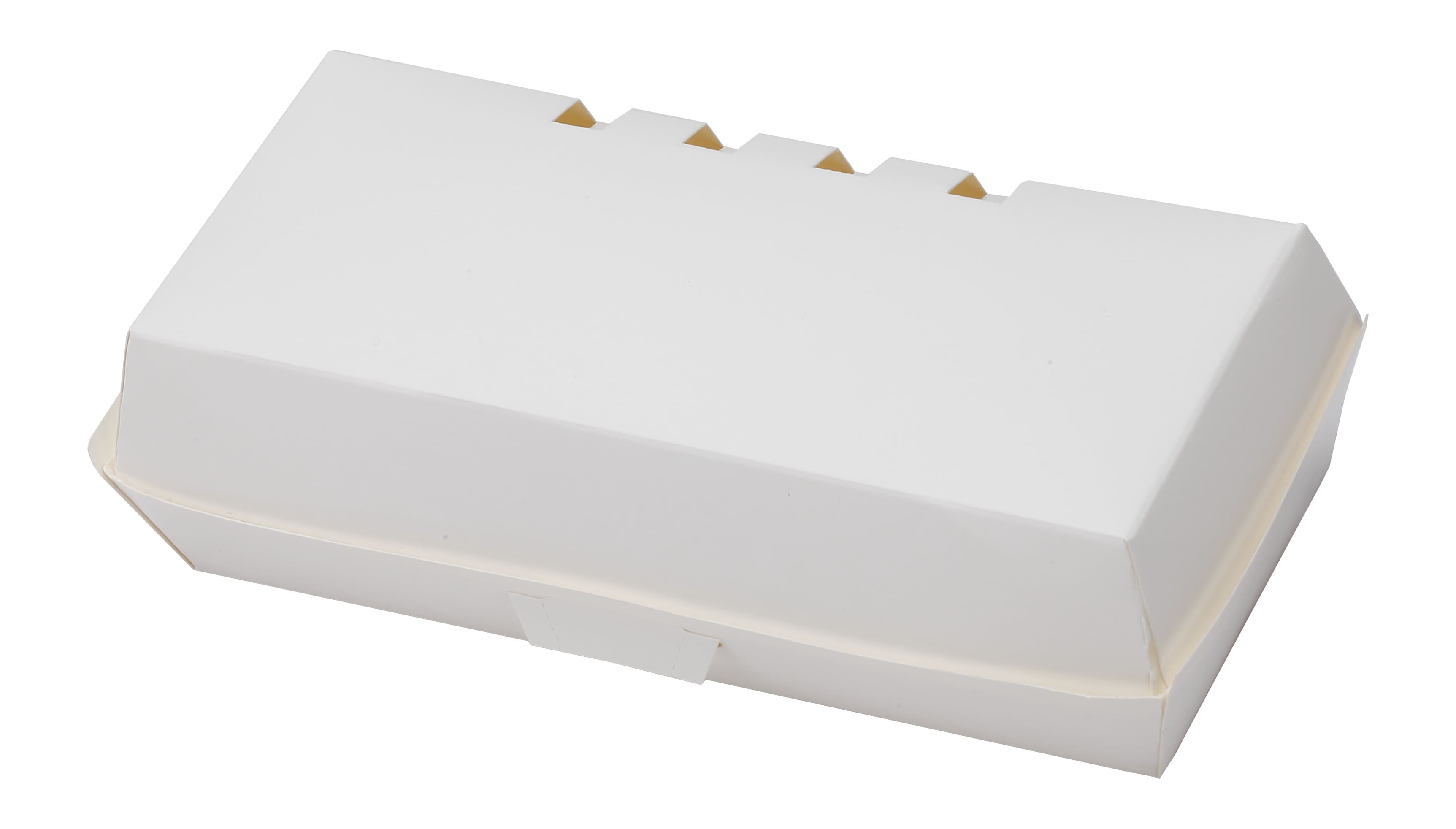 Large Hot Dog Box (with outer lock)